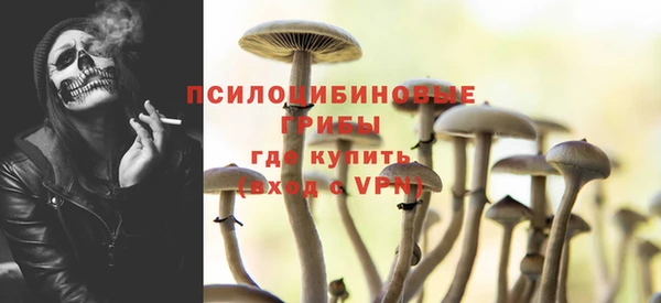 индика Арсеньев