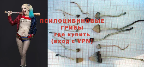 индика Арсеньев